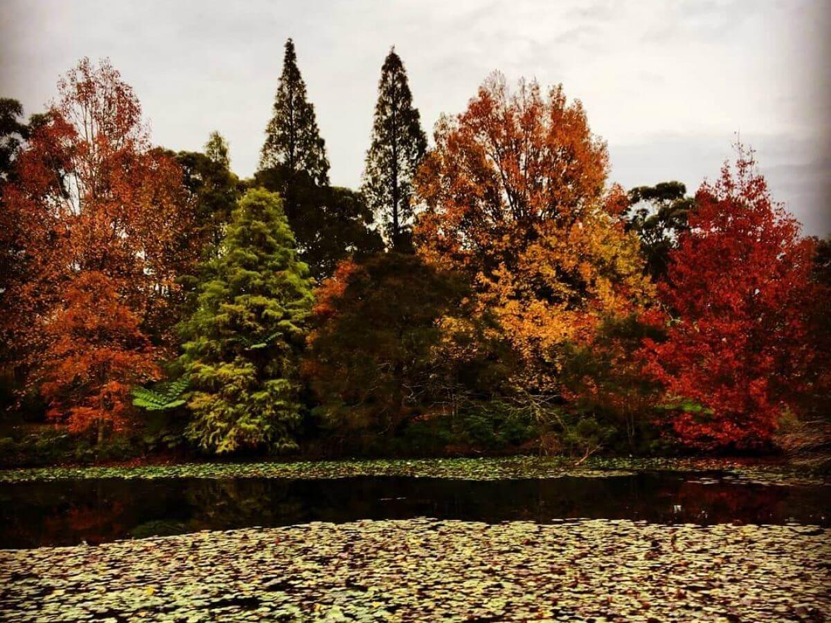 Paradise Botanical Gardens | Things to do | Love Central Coast